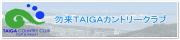 ܗTAIGAJg[Nu